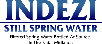 indezi logo big